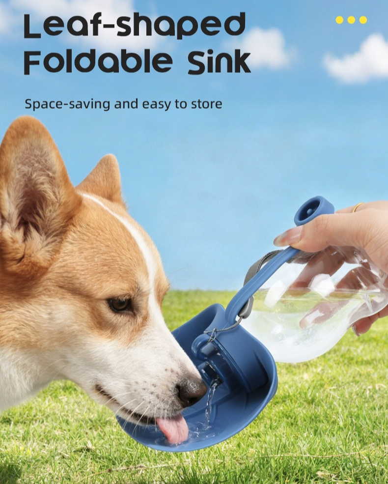 Sport Portable Pet Dog Water B - Outdoor Sport Glass Water Bottle ulasan dan harga